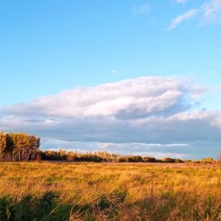 Осень в моём телефоне