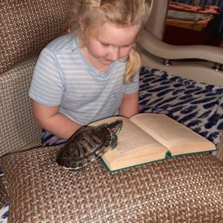 Вместе веселее!