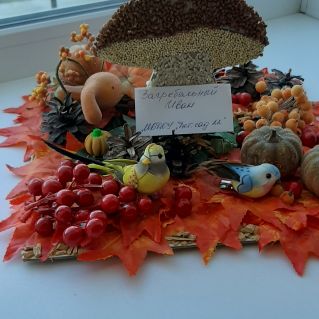 "Дары осени"