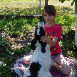 "Мой самый верный и любимый друг!"