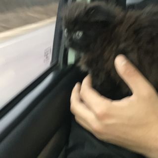 Кроха-путешественник