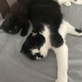 С любимой мамой