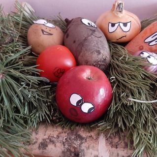 Весёлый урожай