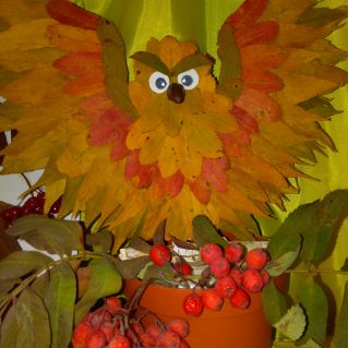 "Чудо -птица""