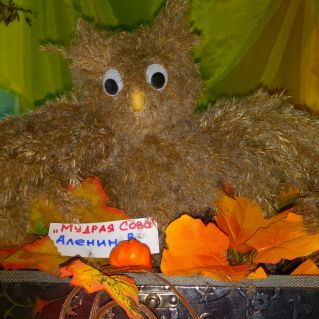 "Мудрая сова"