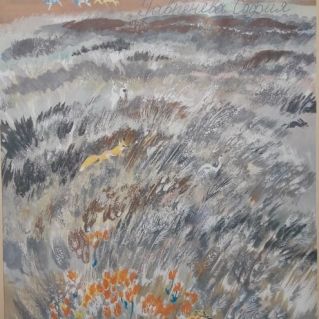 Донская степь ковыльная!