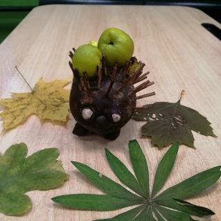 Ёжик с яблоками.