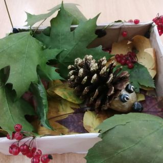 Под осенним листом