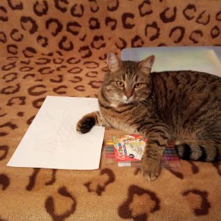 Полосатый художник