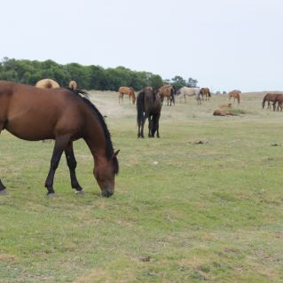 Моё родное село Вольное