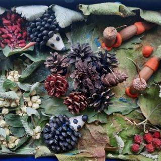 Колючие ребята