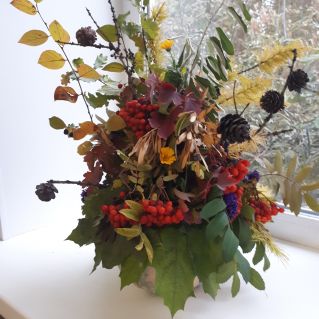 Осенняя сказка.