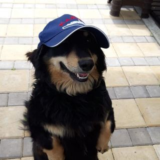 "Я готов к улётной прогулке!"