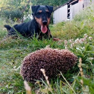 "Люблю общаться с новыми соседями!"