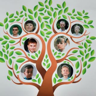 Семейное древо