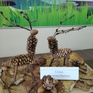 На лесной понянке