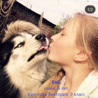 "Мой ласковый и нежный друг"