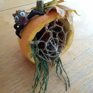 "В нашем доме новичок, поселился паучок"