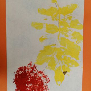 Ветка рябины