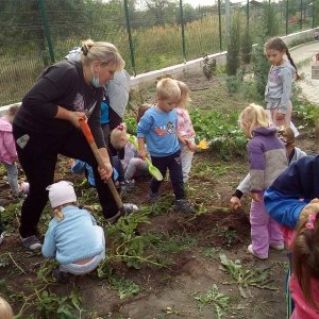 "Собираем урожай"