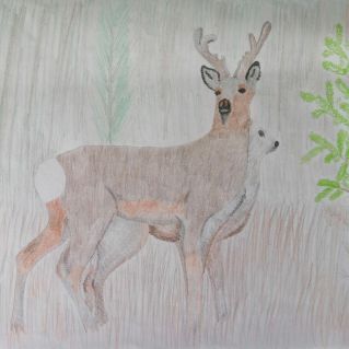 "Моё родное Забайкалье"