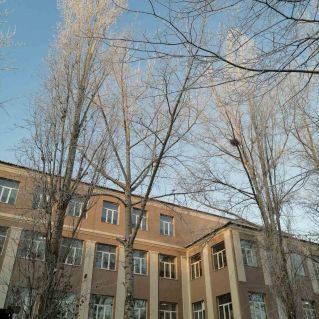 Морозные узоры