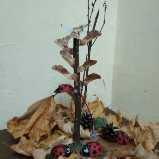 "Божие коровки"