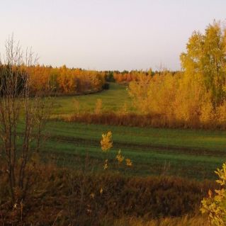 "Родные просторы"