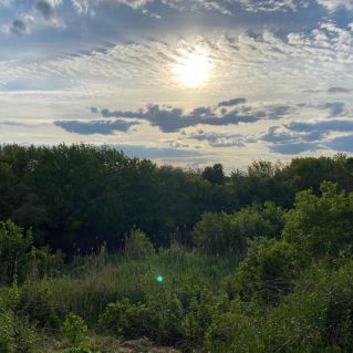 Любимое Примиусье.