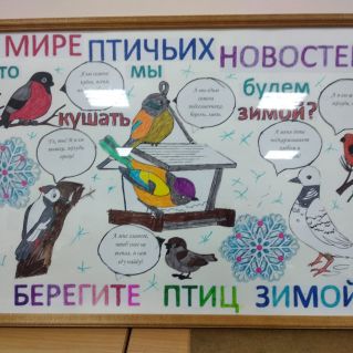 Стенгазета "В мире птичьих новостей!"