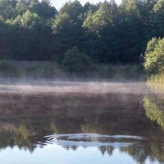 мой край родной
