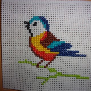 моя синичка