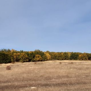 фотография "Мой родной край"