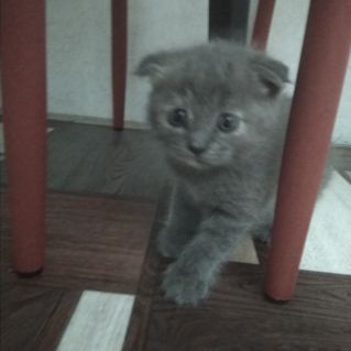 Совсем кроха