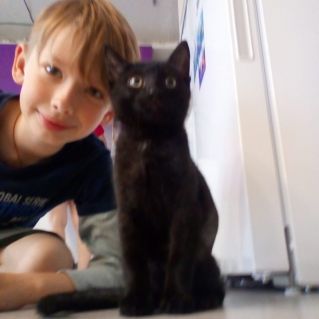 Ласковый и нежный зверь