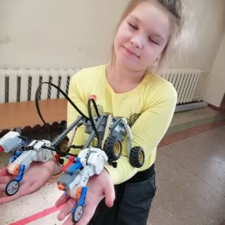 Собачья упряжка