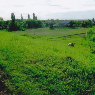 Мой родной посёлок