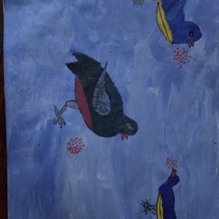 Друзья пернатые