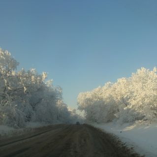 "Дорога в зимнюю сказку"