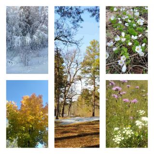 Фотопейзаж "Времена года"