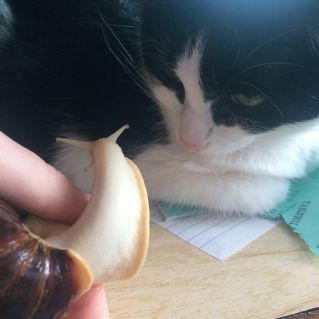 Знакомство.