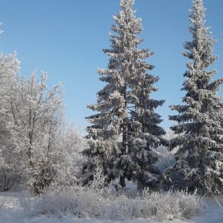 Природа Алтая меня восхищает!