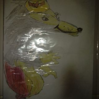 "Я добрый серый волк"