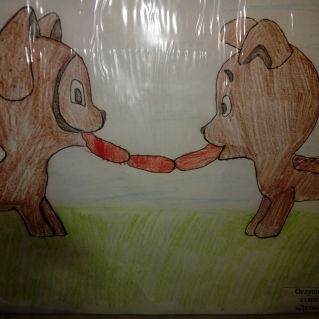 "Делим пополам"