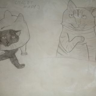 "Где живет доброта"