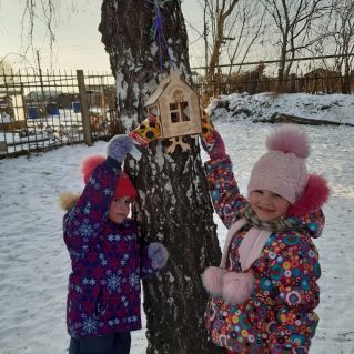 "Покормите птиц"