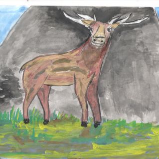 Животные Байкала-Ирбис