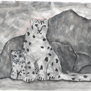 Животные Байкала -Ирбис