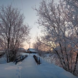 Мороз и солнце!