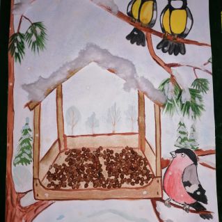 Покормите птиц зимой